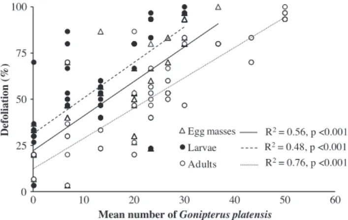 Fig. 2. Average defoliation (%) of the upper third of the tree canopy of Eucalyptus globulus, observed in June 2007, in relation to the average number of egg masses, larvae and adult of G