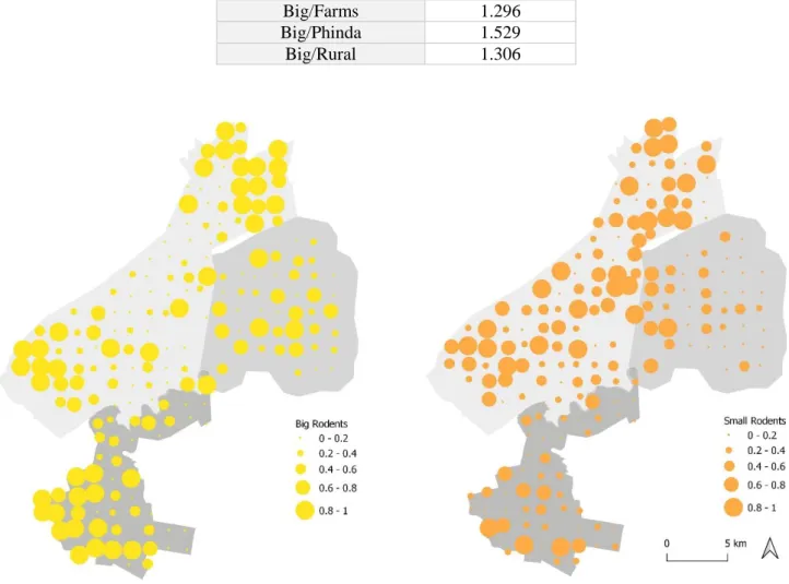 Table 4.1 – Results of Lloyd’s Index of Patchiness (ℽ).