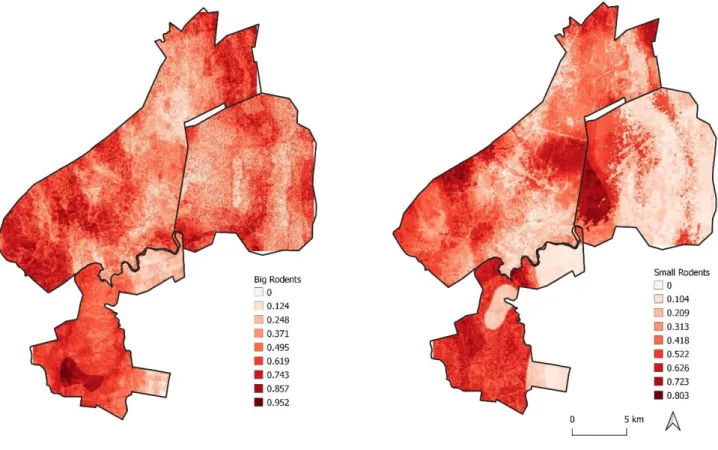 Figure 4.5- Map of the study area showing the predicted distribution of both rodent’ groups