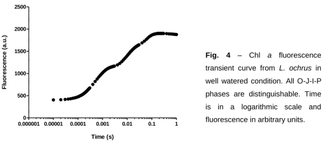 Fig.  4  –  Chl  a  fluorescence  transient  curve  from  L.  ochrus  in  well  watered  condition