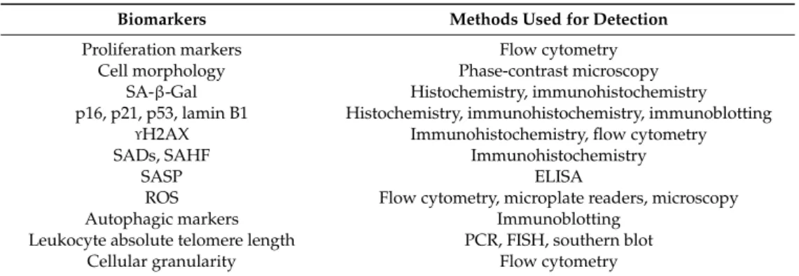 Table 2. Methodologies used for detection of the most common senescent cell biological markers.