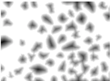 Figura 25 - Representação da Distância de Transformação das partículas na imagem binária