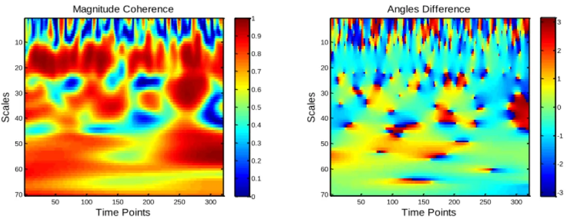 Figure 9- Outputs from WTC function. On the left: matrice for the magnitude coherence values, scaled between [0;1] 