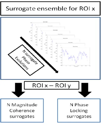 Figure  13- Representation of  the MCV and PLV procedure. After the  computation of the surrogate ensemble  for a  seed ROI x, it is obtained both N Magnitude Coherence and N Phase-Locking profiles for a ROI pair x and y