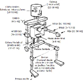 Figura  2.9:  Modelo  mecânico  com  indicação  das  frequências  de  ressonância  das  diferentes  partes  do  corpo (adaptado de [40]) 
