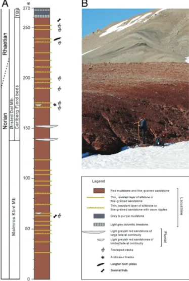FIGURE 2. A, stratigraphic scheme of the Triassic succession exposed at Carlsberg Fjord