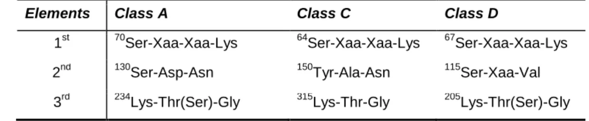Table 6 – Conserved motifs (elements) in the active site of Ser-β-lactamases. 