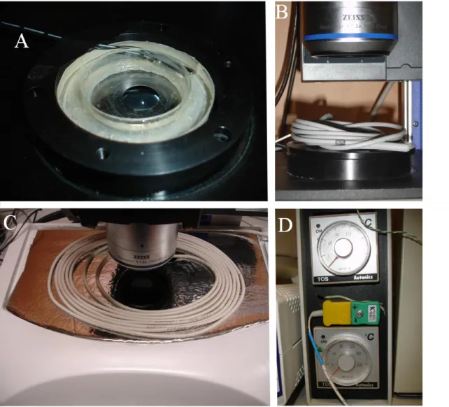 Fig 4. Custom made incubation chamber used to culture chick embryos at 38ºC during time- time-lapse  imaging