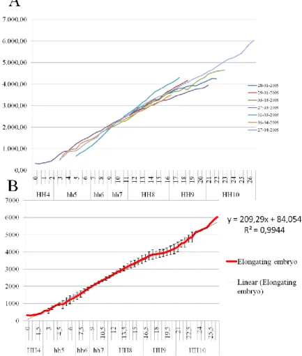 Fig  10.  A)  Representation  of  the  measurements  of  the  length  of  the  seven  time-lapse  movies  produced