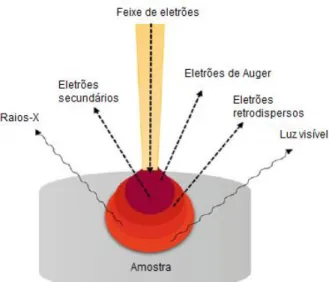 Figura  3.6  Esquema  do  funcionamento  de  um  espetrofotómetro  ultravioleta-visível  de  duplo  feixe  [42].