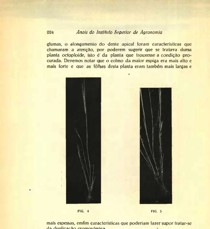 FIG. 4  FIG. 5