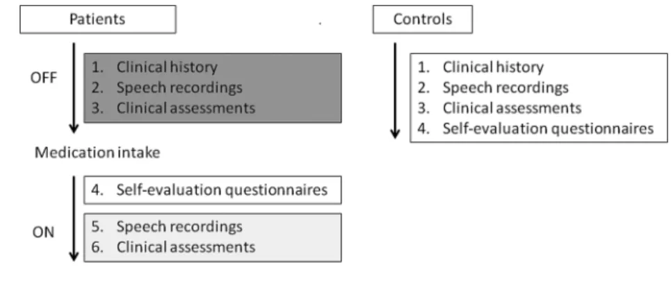 Figure 1 Overview of the FraLusoPark study design.