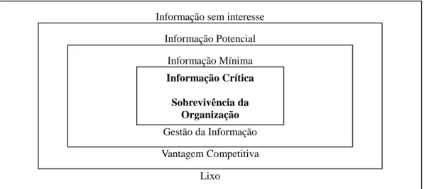 Figura 01. A classificação da informação segundo a sua finalidade para uma Organização (Moresi, 2001)