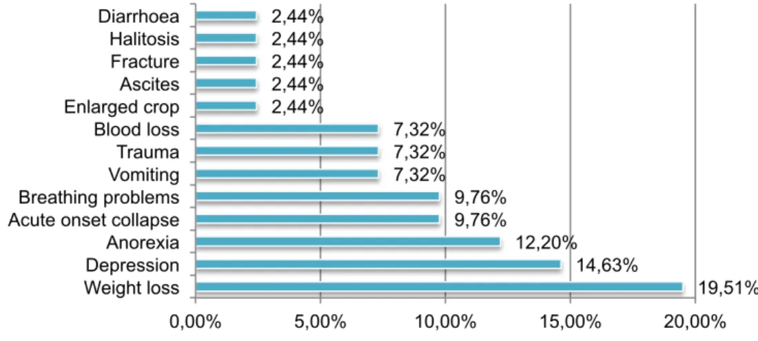 Graphic 6: Percentage of the different CS observed 