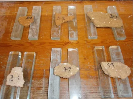 Figure 6 – Mortar samples during the drying process  3.2.4.  Open porosity 