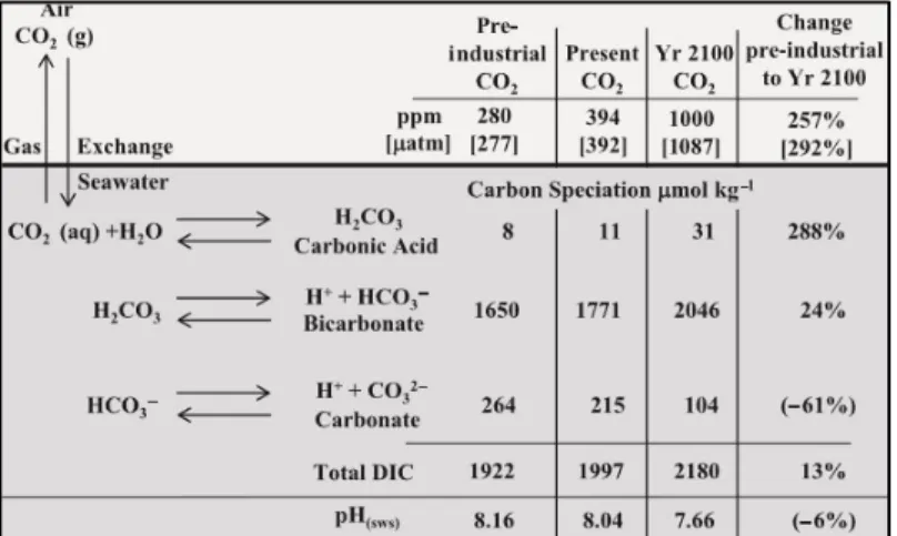 Figure 3 - The fate of atmospheric CO 2  as it exchanges into the oceans at the air-sea interface and becomes part of  the aqueous carbonate system
