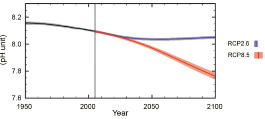 Figure 4 – Global ocean surface pH from 1950 to 2100 with the 2 possible RCP scenarios