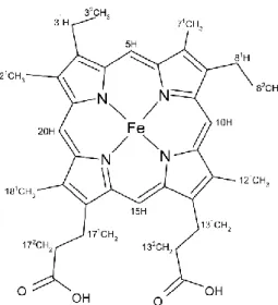 Figure 2.  Representative structure of the c-type heme group accordingly to the IUPAC nomenclature [29]