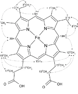 Figure 6. Diagram of heme c numbered according to the IUPAC-IUB nomenclature [29]. The typical through  bond  connectivities  are  indicated  by  solid  arrows,  whereas  the  dashed  ones  indicate  the  typical  NOE  connectivities used to assign the hem