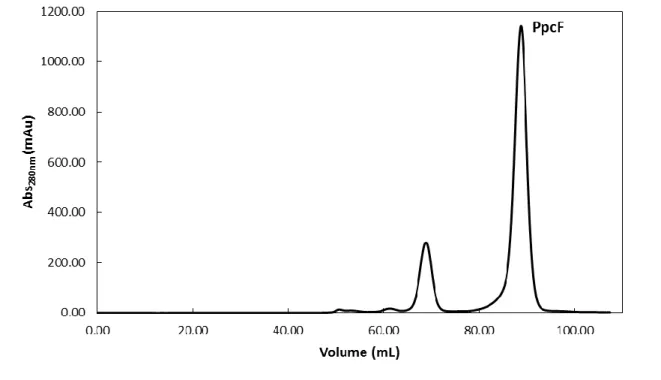 Figure  8.  Elution  profile  for  the  molecular  exclusion  chromatography  of  PpcF  from  G