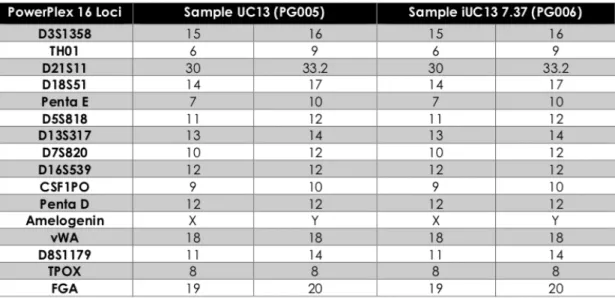 Figure  3.3.  STR  analysis  of  the  iPSC  in  comparison  with  the  ERE  cells.  Sample  UC13  represents the donor ERE cells, whereas Sample iUC13 7.37 represents the reprogrammed iPSCs
