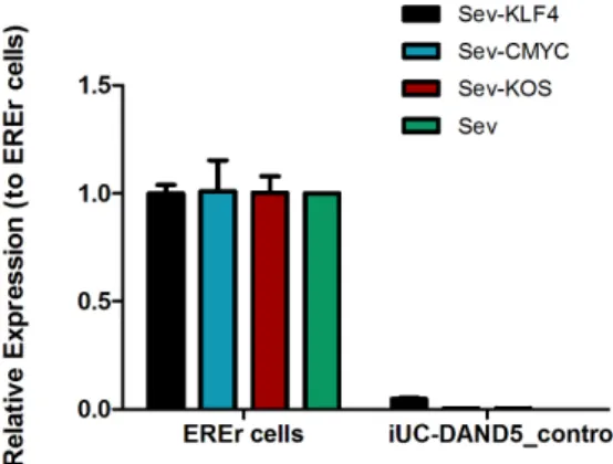 Figure 3.4. Transgene-free status of the established iPSC cell line. Absolute quantitative real- real-time  PCR  showing  absence  of  the  vectors  and  the  exogenous  reprogramming  factor  in  iPSCs  (right) and presence of the reprogramming factors in