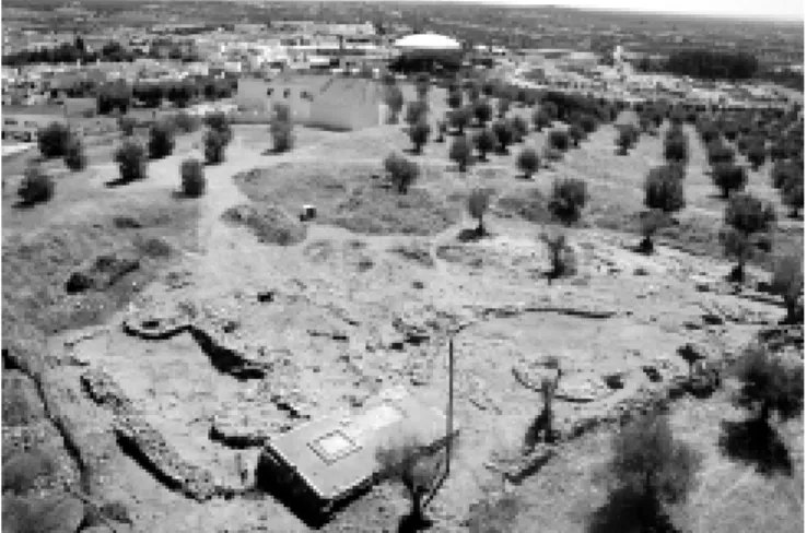 Fig. 2 – São Pedro: general view of the excavated area, taken from North (photo: Rui Mataloto).