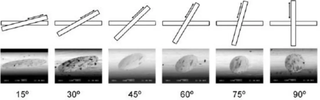 Figura 1.21: Marcas de desgaste com diferentes ângulos em fios de aço com uma carga normal de 1N  (CRUZADO et al., 2011)