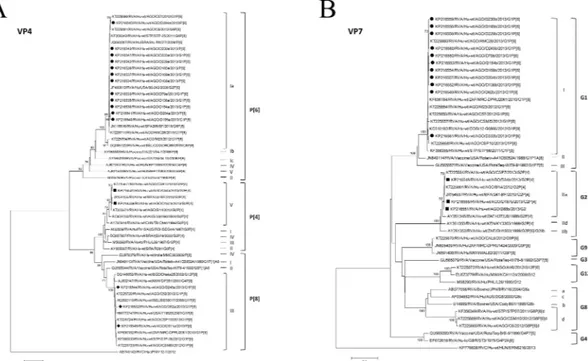 Fig 3. Phylogenetic analysis of the VP4 (A) and VP7 (B) genes from RVA identified strains