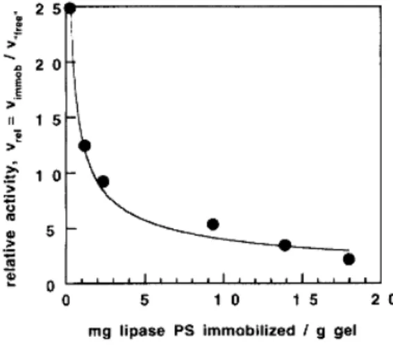 Figure 1.2.: Effect of enzyme loading on the activity of sol-gel entrapped Pseudomona cepacia lipase (from Reetz et al