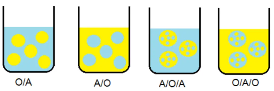 Figura 1 - Diferentes tipos de emulsões que podem estar presentes num sistema composto por água e óleo