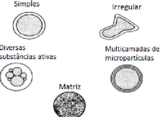 Figura 11 – Morfologia dos diferentes tipos de micropartículas   Fonte: Gharsallaoui et al., 2007 