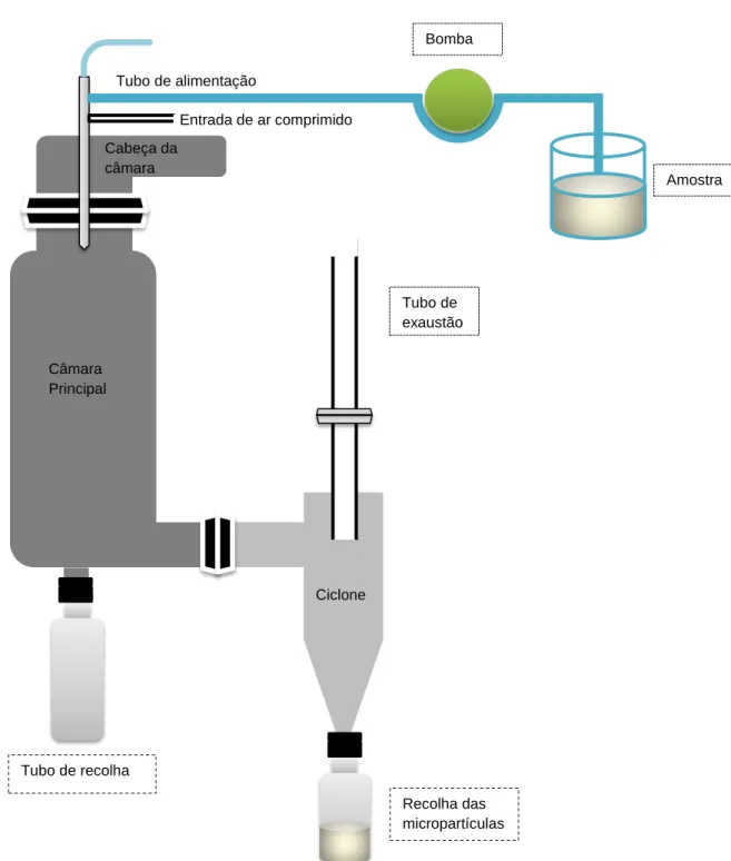 Figura 8: Representação esquemática do processo de encapsulamento por spray-drying 