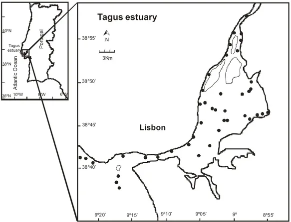 Figure 1 - Map of the Tagus estuary and location of the sampling sites used in the models