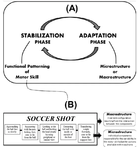Figure 1. Illustration of (A) adaptive process of motor learning involving the phases of  functional stabilization (structure/pattern formation) and adaptation (structure/pattern  reorganization), and (B) hierarchical organization of a motor skill control 