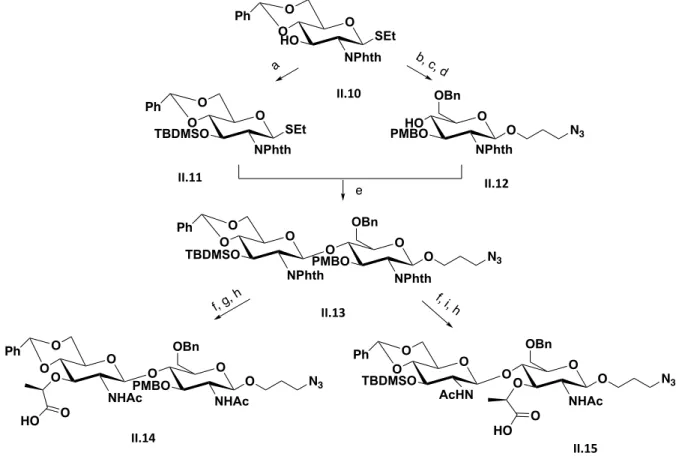 Figure 2.4 Synthesis summary to accomplish II.14 an II.15 reported by Boons 14 .(a) TBDMSOTf, 2,6-lutidine, DCM, 96%; (b)  PMBCl, NaH, TBAI, THF, reflux, 84%; (c) Me3N·BH3, AlCl3, THF, 72%; (d) HO(CH2)3N3, NIS, TMSOTf, 67%; (e) NIS, TMSOTf,  62%; (f) H2N(C
