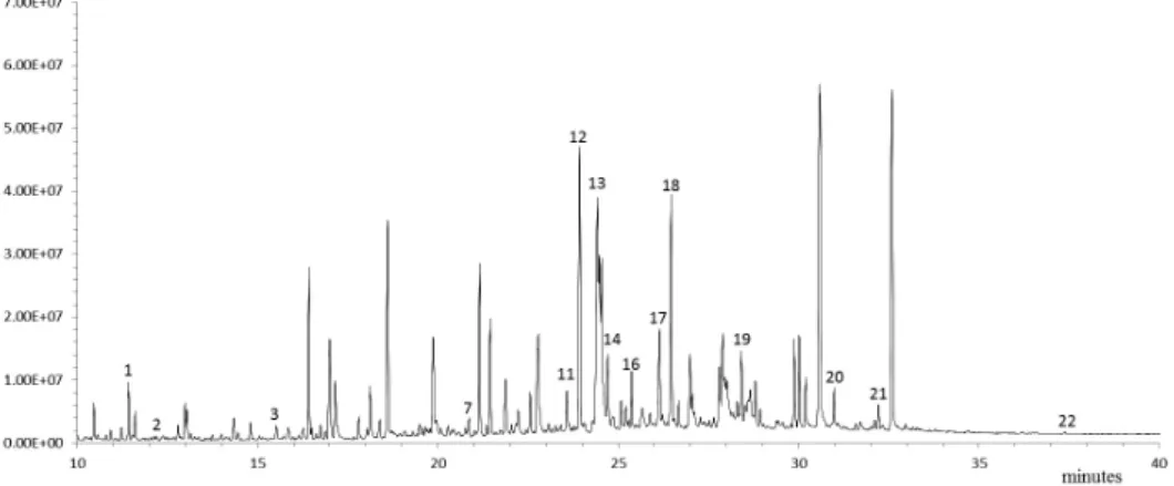 Figura 9 – Cromatograma em modo Full Scan do extrato de metanol referente ao Vaso 6.