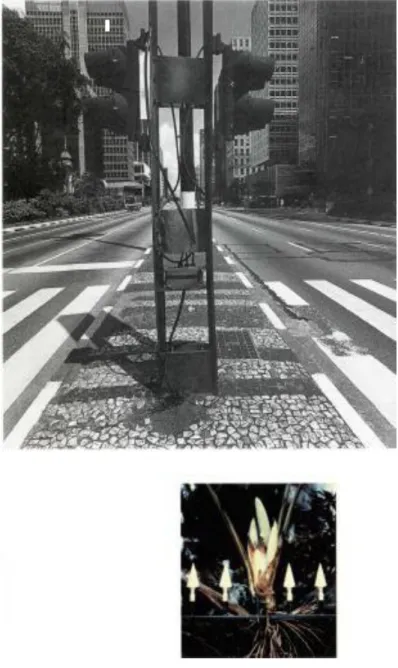 Figura  6  -  Carlos Fadon  Vicente “Avenida Paulista + São  Polaroide”,  1983.  Amplificação  de  gelatina  de  prata  e  polaroide