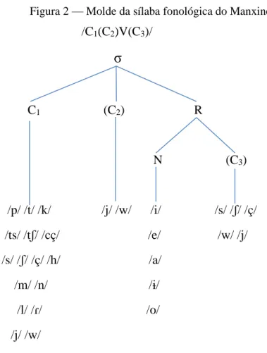 Figura 2 — Molde da sílaba fonológica do Manxineru       /C 1 (C 2 )V(C 3 )/     σ                                                          C 1                     (C 2 )                      R                                                               