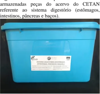 Figura  11  -  Caixa  plástica  onde  estão  armazenadas  peças  do  acervo  do  CETAN  referente  ao  sistema  digestório  (estômagos,  intestinos, pâncreas e baços)