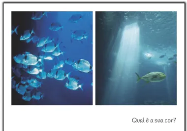 Fig 35. Slide da primeira  apresentação com as crianças - 