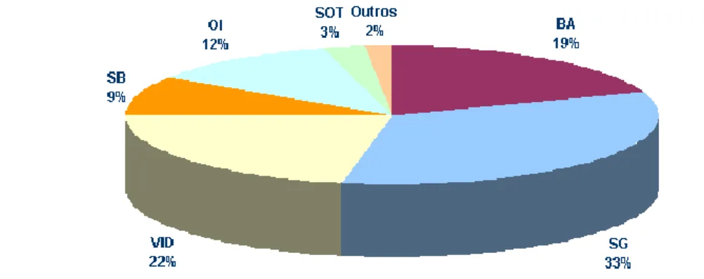 Figura 6 – Quotas de mercado na Península Ibérica (dados BA, 2005) 