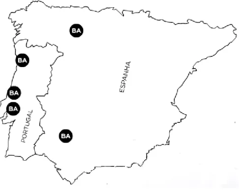 Figura 1 – Localização das fábricas da BA Vidro 