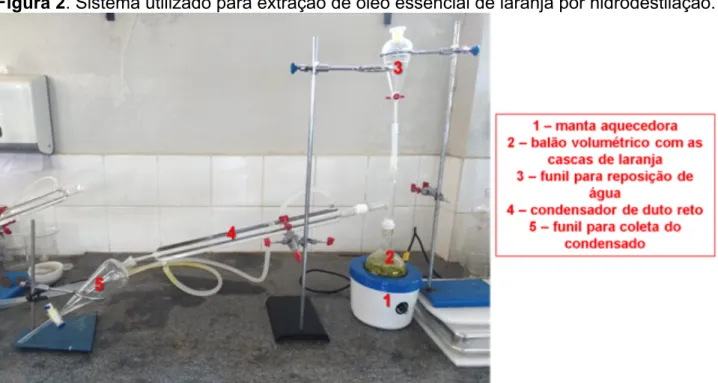 Figura 2. Sistema utilizado para extração de óleo essencial de laranja por hidrodestilação