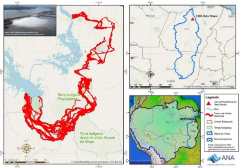 Figura  1:  O  TVR  (calha  do  rio  Xingu,  área  marcada  em  vermelho)  e  posicionamento na sub-bacia do rio Xingu e bacia Amazônica