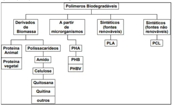 Figura  2.  Representação  simplificada  da  classificação  dos  principais polímeros biodegradáveis 