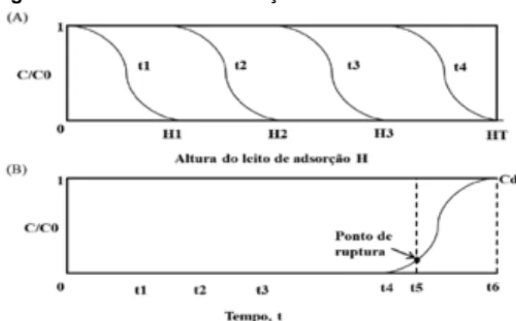 Figura 7 - Perfis de concentração do adsorbato. 