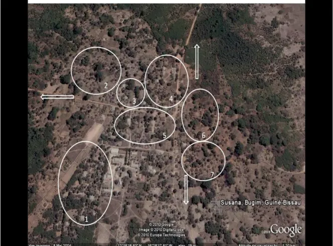 Figura  3.4.  Fotografia  satélite  de  Susana,  com  a  demarcação  dos  respectivos  bairros