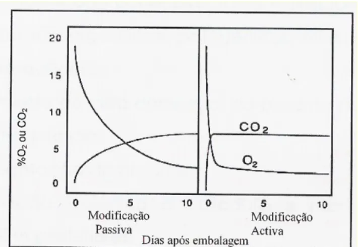 Figura 3-2 – Alterações relativas nas concentrações e O2 e CO2 durante a  modificação passiva e activa da atmosfera no interior da embalagem