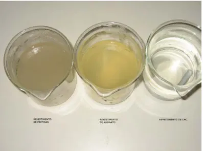Figura 7-2 – Revestimentos à base de pectina de baixo metóxilo, Alginato e Carboximetilcelulose